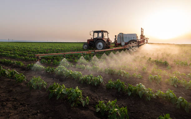 Reliable Dassel, MN Pest Control Solutions