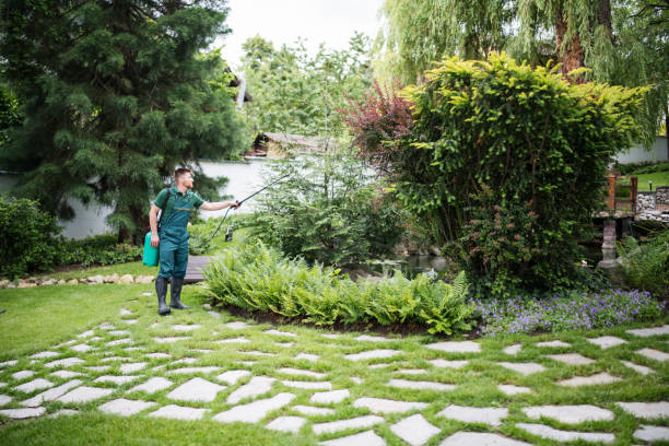 Best Best Pest Control Companies  in Dassel, MN