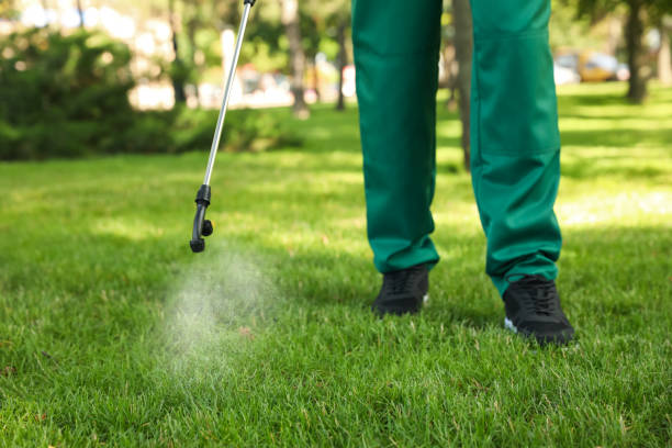 Best Best Pest Control Companies  in Dassel, MN