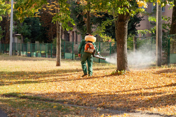 Best Pest Control for Homes  in Dassel, MN